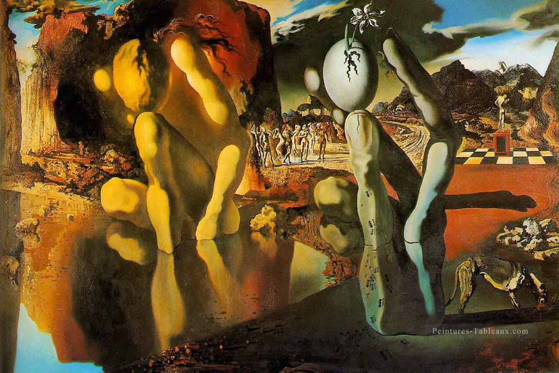 The Metamorphosis of Narcissus Salvador Dali Oil Paintings